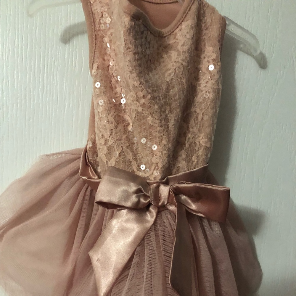 Pink Sequin dog dress